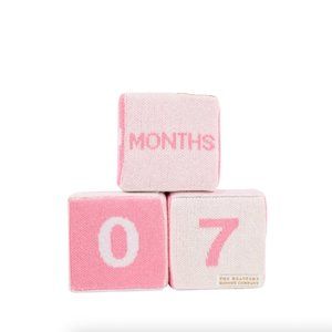 The Beaufort Bonnet Company Blaylock Blocks